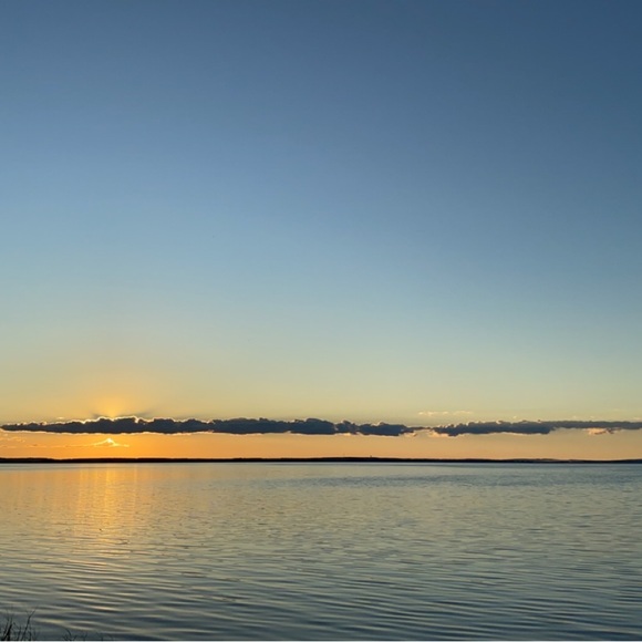 Meet your seller / Sign in ~ Live Show - Picture 9 of 9